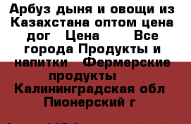 Арбуз,дыня и овощи из Казахстана оптом цена дог › Цена ­ 1 - Все города Продукты и напитки » Фермерские продукты   . Калининградская обл.,Пионерский г.